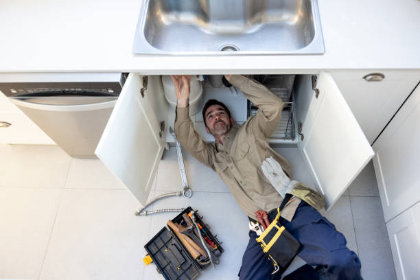 Best Clogged Drain Plumber  in Poseyville, IN
